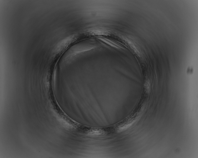X0000089960402200707131541