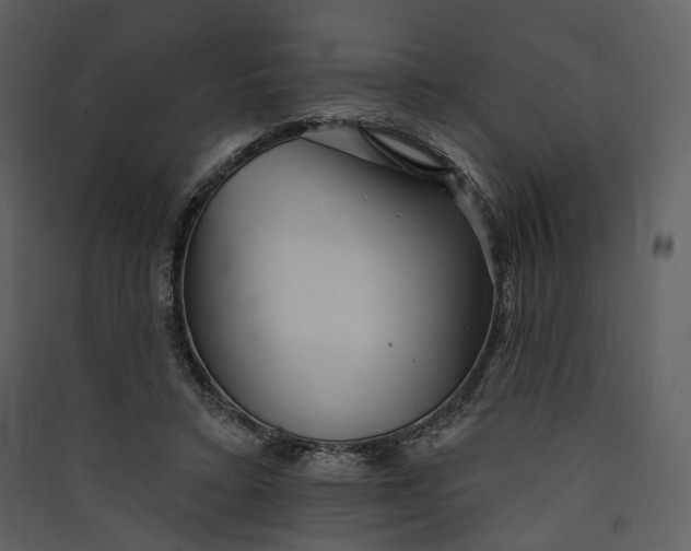 X0000089960403200707131541