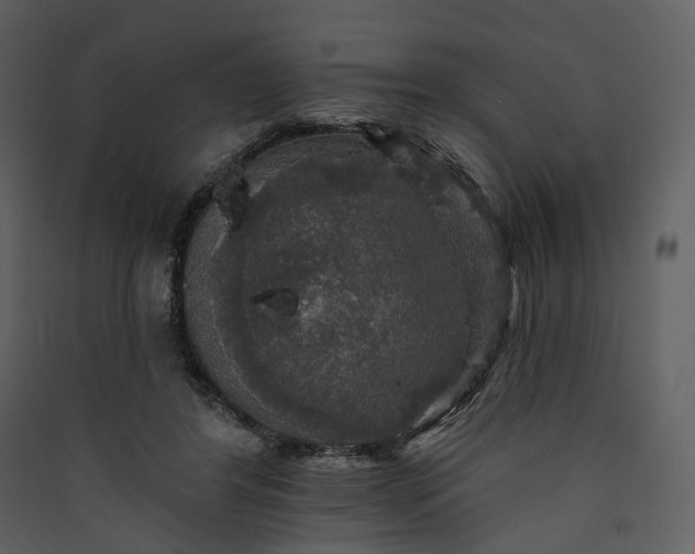 X0000089960404200707131541