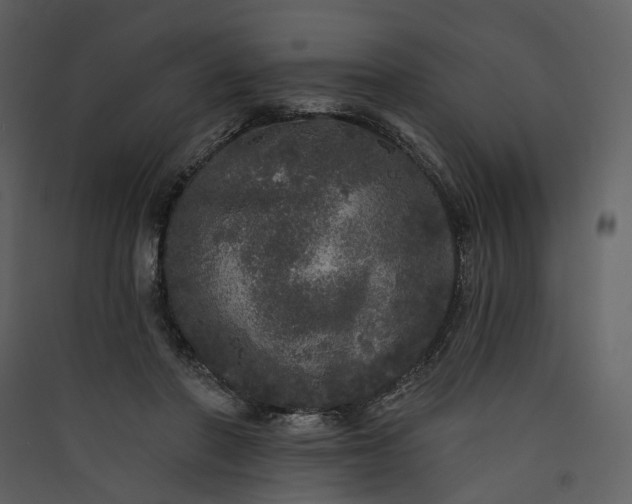 X0000089960406200707131541