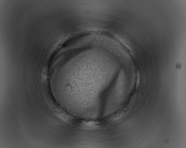 X0000089960407200707131541