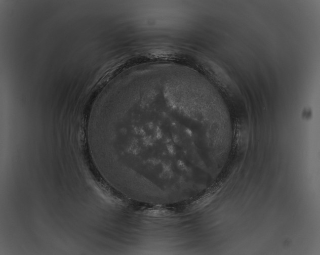 X0000089960408200707131541