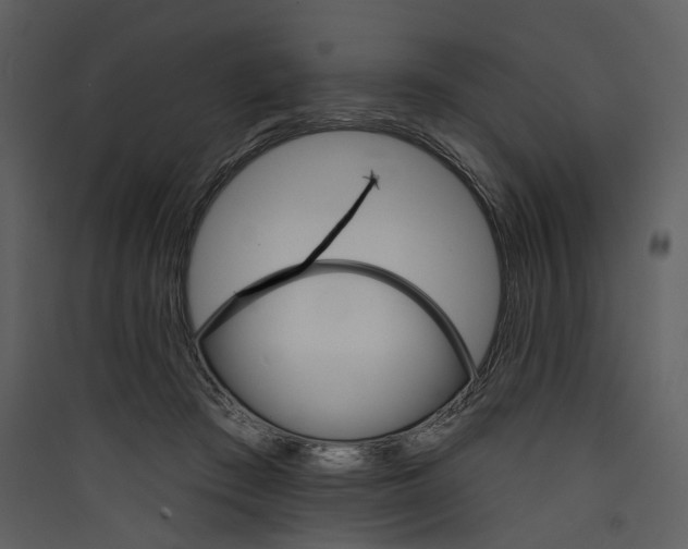 X0000089960409200707131541