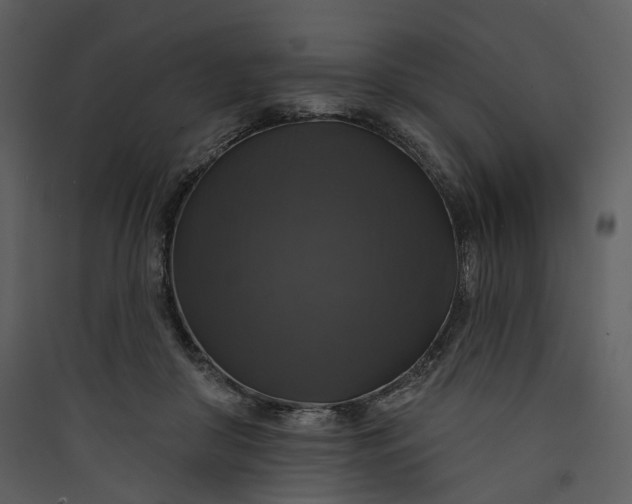 X0000089960410200707131541