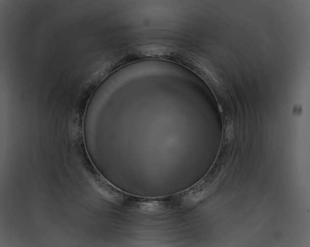 X0000089960411200707131541