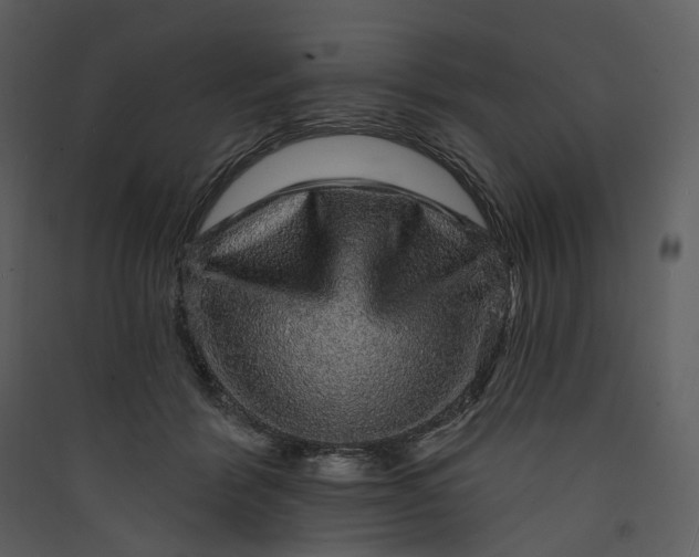X0000089960412200707131541