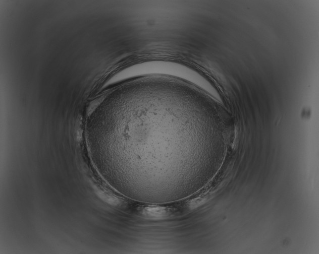 X0000089960413200707131541