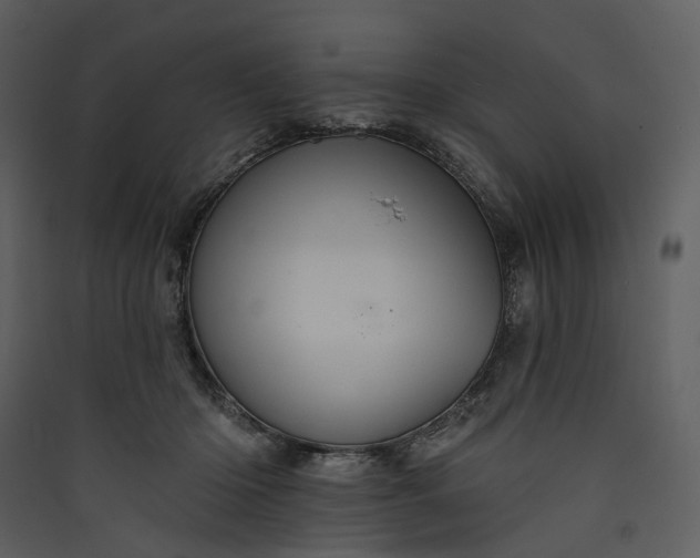 X0000089960414200707131541