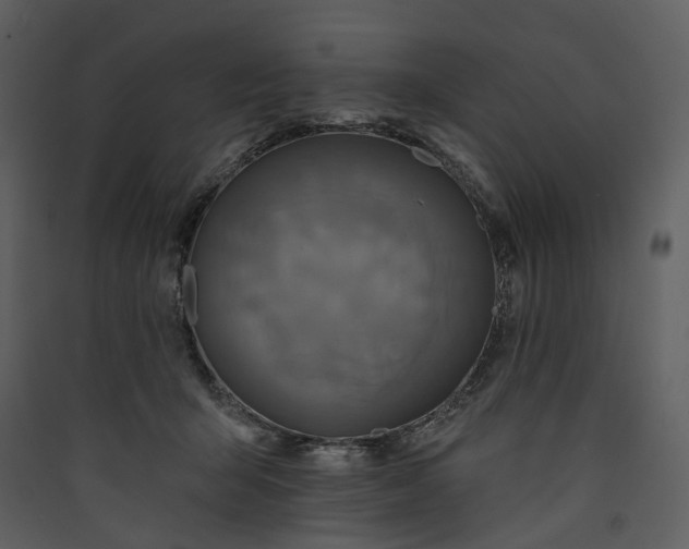 X0000089960415200707131541