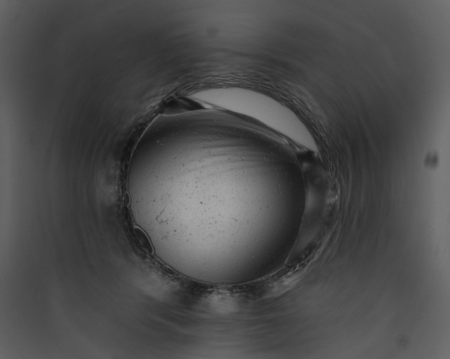 X0000089960416200707131541