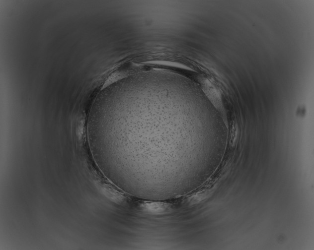 X0000089960417200707131541