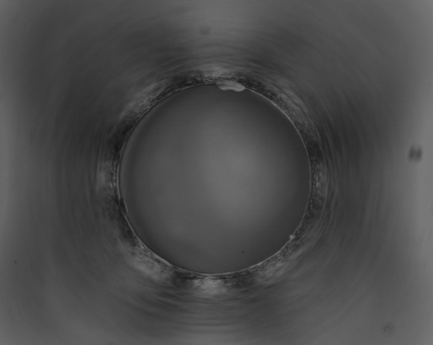 X0000089960419200707131541