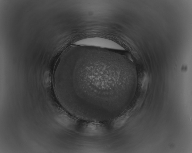 X0000089960420200707131541