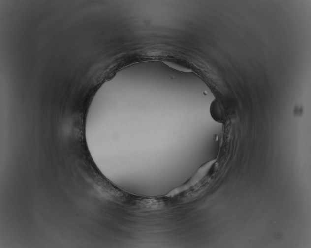 X0000089960421200707131541