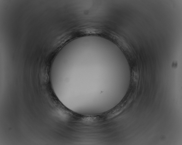 X0000089960422200707131541