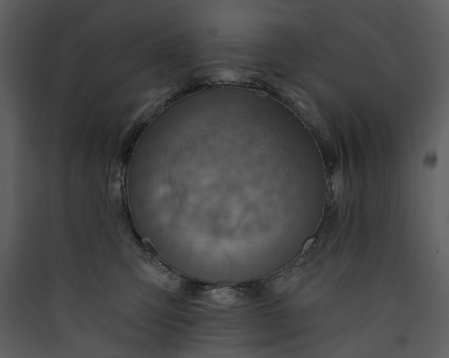 X0000089960423200707131541