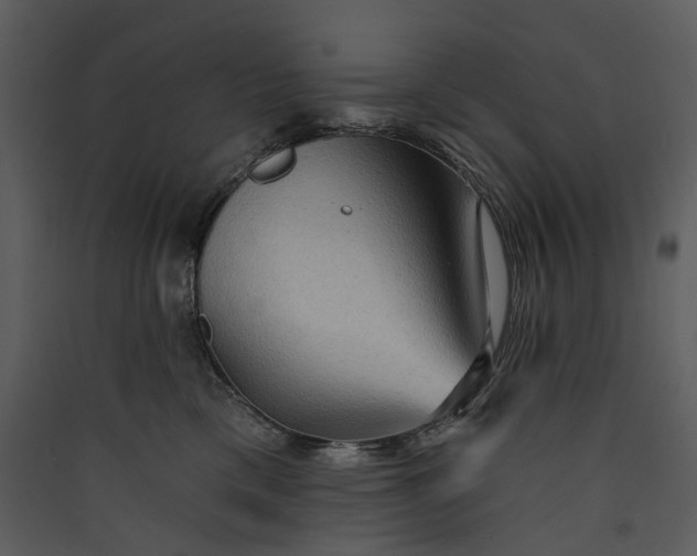 X0000089960425200707131541