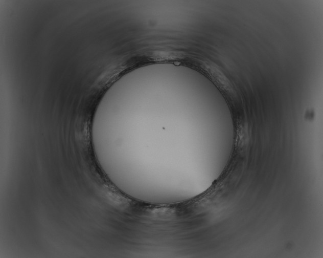 X0000089960426200707131541