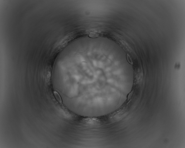 X0000089960427200707131541