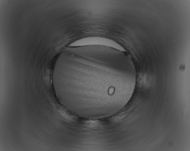 X0000089960428200707131541