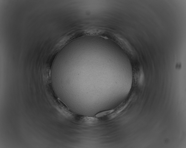 X0000089960429200707131541