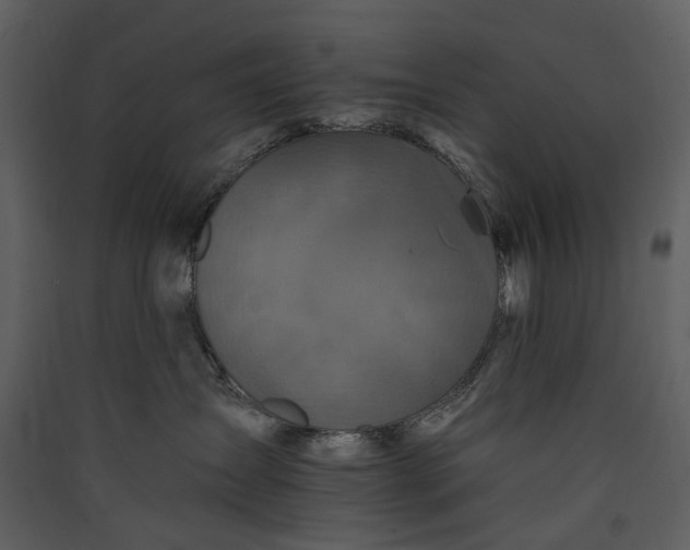X0000089960431200707131541