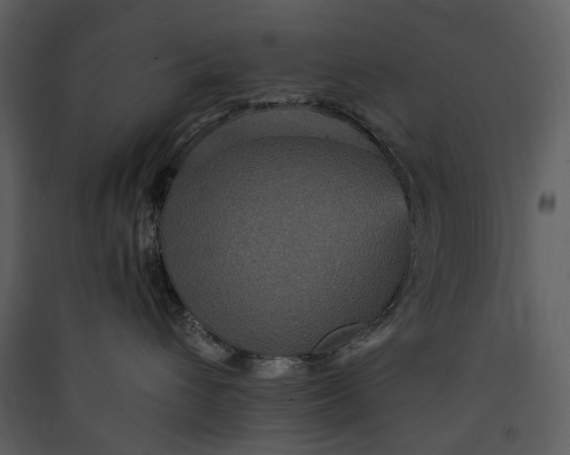 X0000089960432200707131541