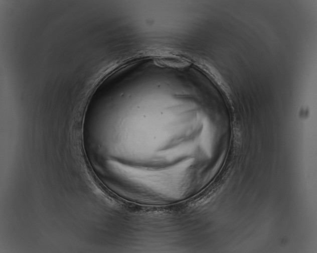 X0000089960433200707131540