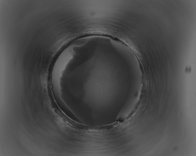 X0000089960434200707131540
