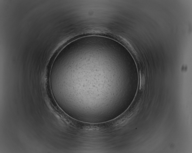 X0000089960435200707131540