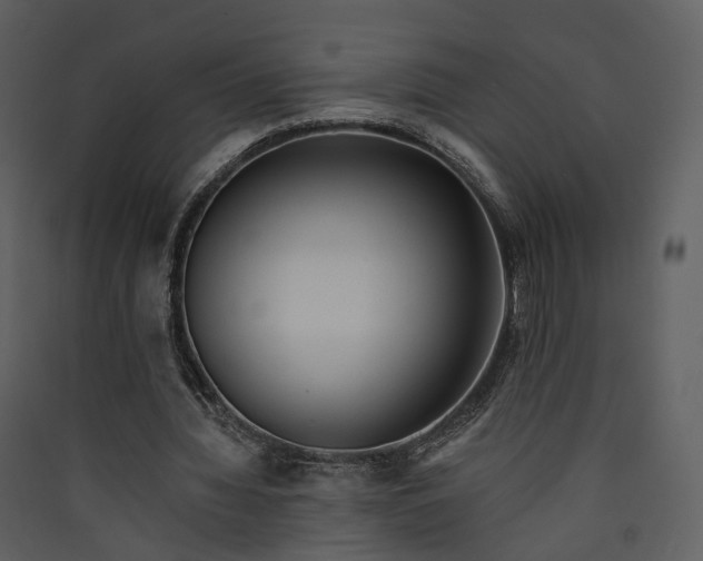 X0000089960436200707131540