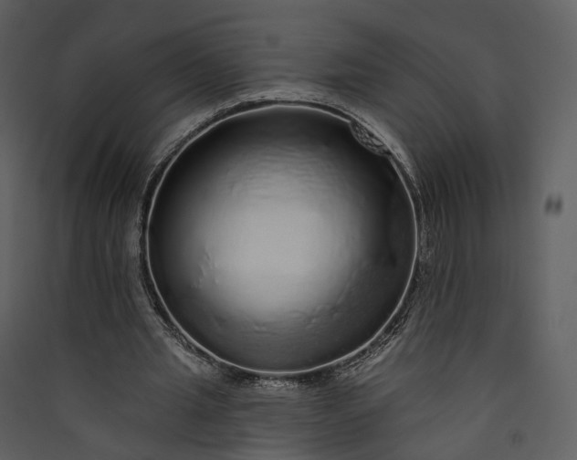 X0000089960437200707131540