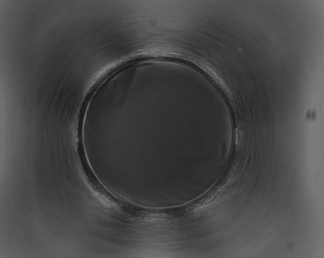 X0000089960438200707131540