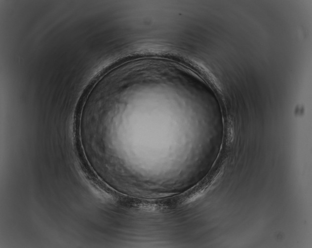 X0000089960439200707131541