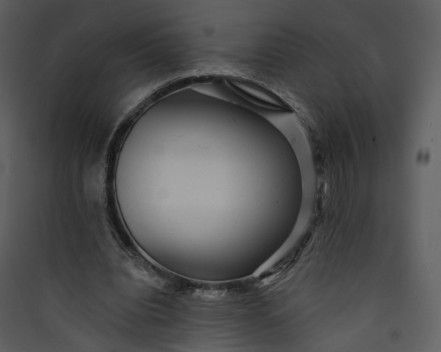 X0000089960440200707131541