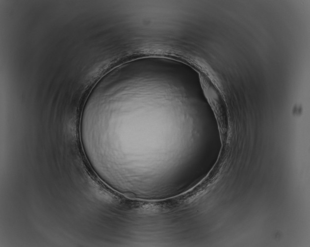 X0000089960441200707131541