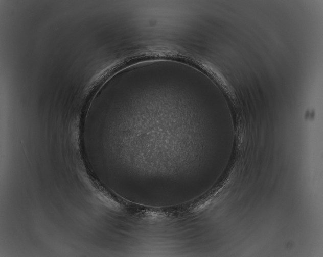 X0000089960442200707131541