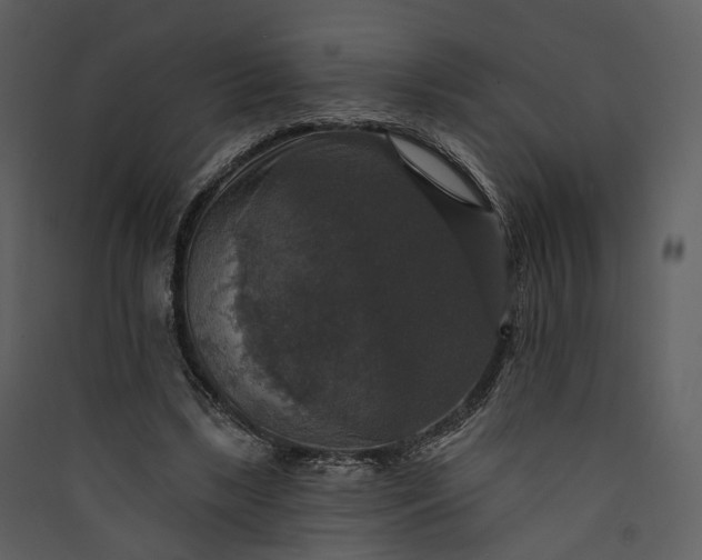 X0000089960443200707131541