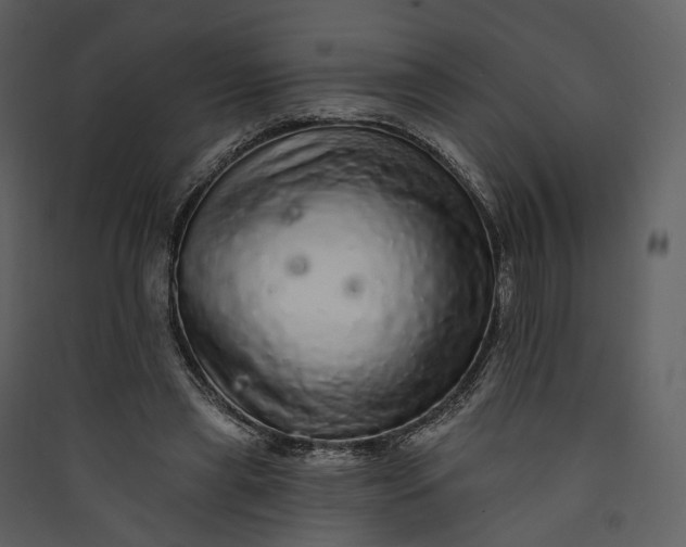 X0000089960445200707131541