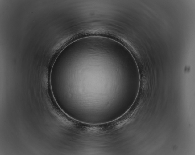 X0000089960446200707131541