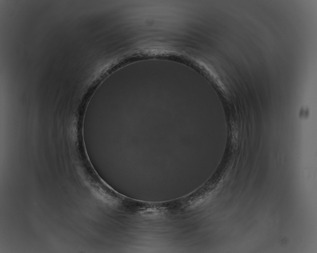 X0000089960447200707131541
