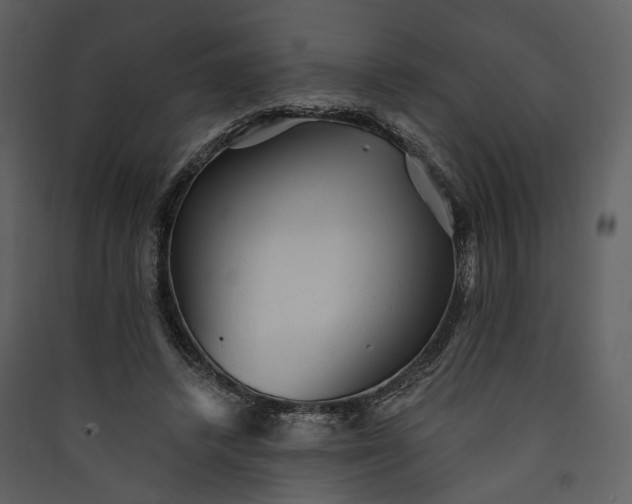 X0000089960448200707131541