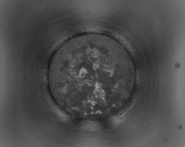 X0000089960449200707131541