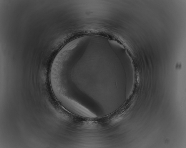 X0000089960451200707131541