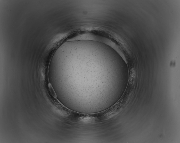 X0000089960452200707131541