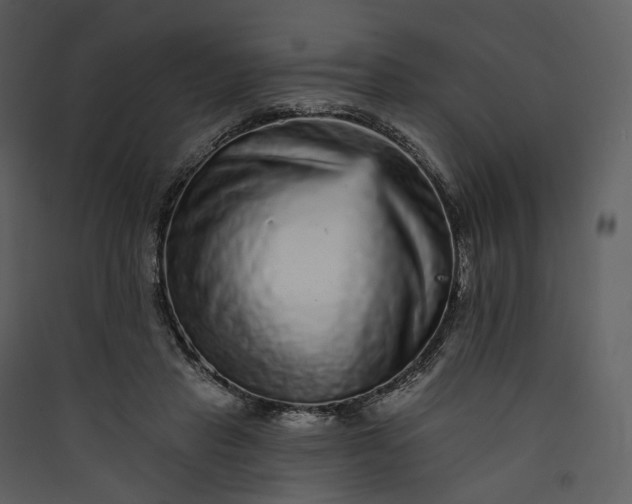 X0000089960453200707131541