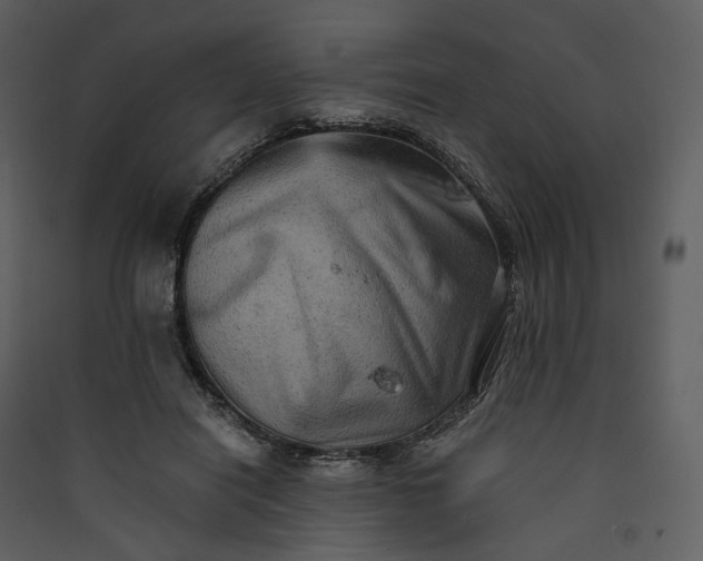 X0000089960454200707131541