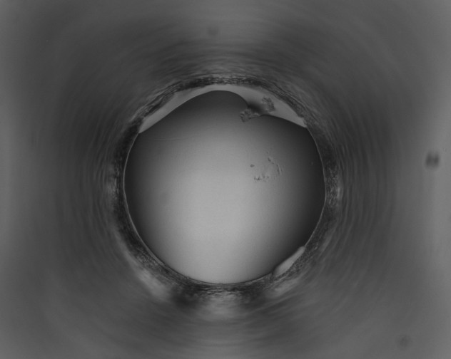 X0000089960456200707131541