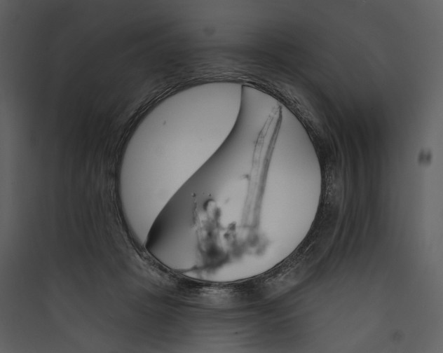 X0000089960457200707131541