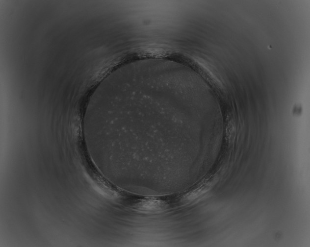 X0000089960459200707131541